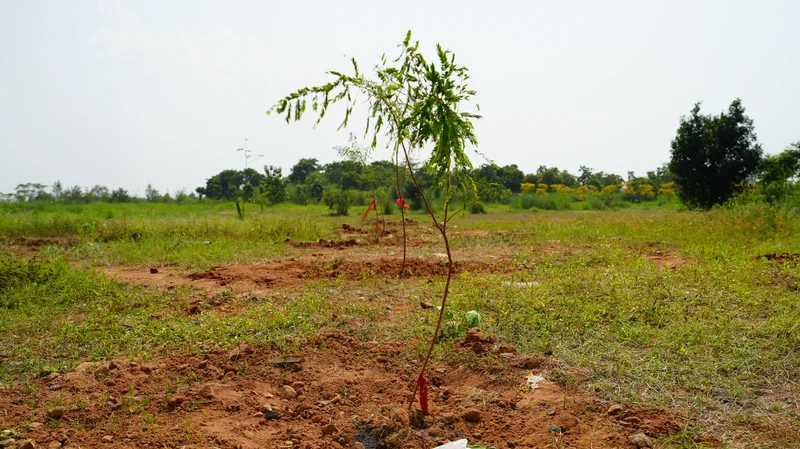 JKU Celebrates 72nd Odisha State Wildlife Week to Promote Wildlife Conservation - Photo 2
